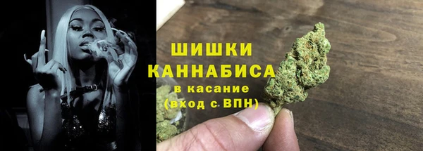 гидра Мегион
