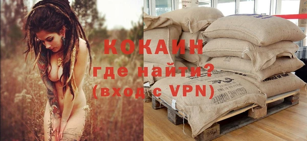 гидра Мегион